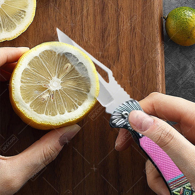 WXCOO Folding Knife Stainless  – Kitchen Gadgets You Need recenzja i cena