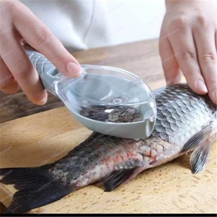 Popular Fish Scale Scraping Ar – Kitchen Gadgets Popular recenzja i cena