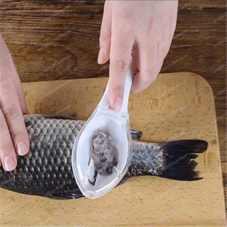 Popular Fish Scale Scraping Ar – Kitchen Gadgets Popular recenzja i cena